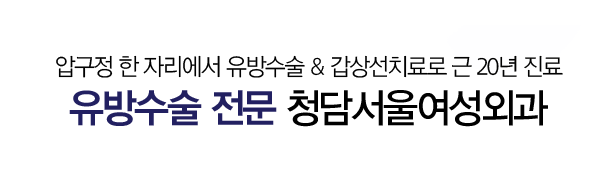 제목