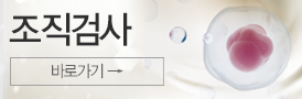 함몰유두